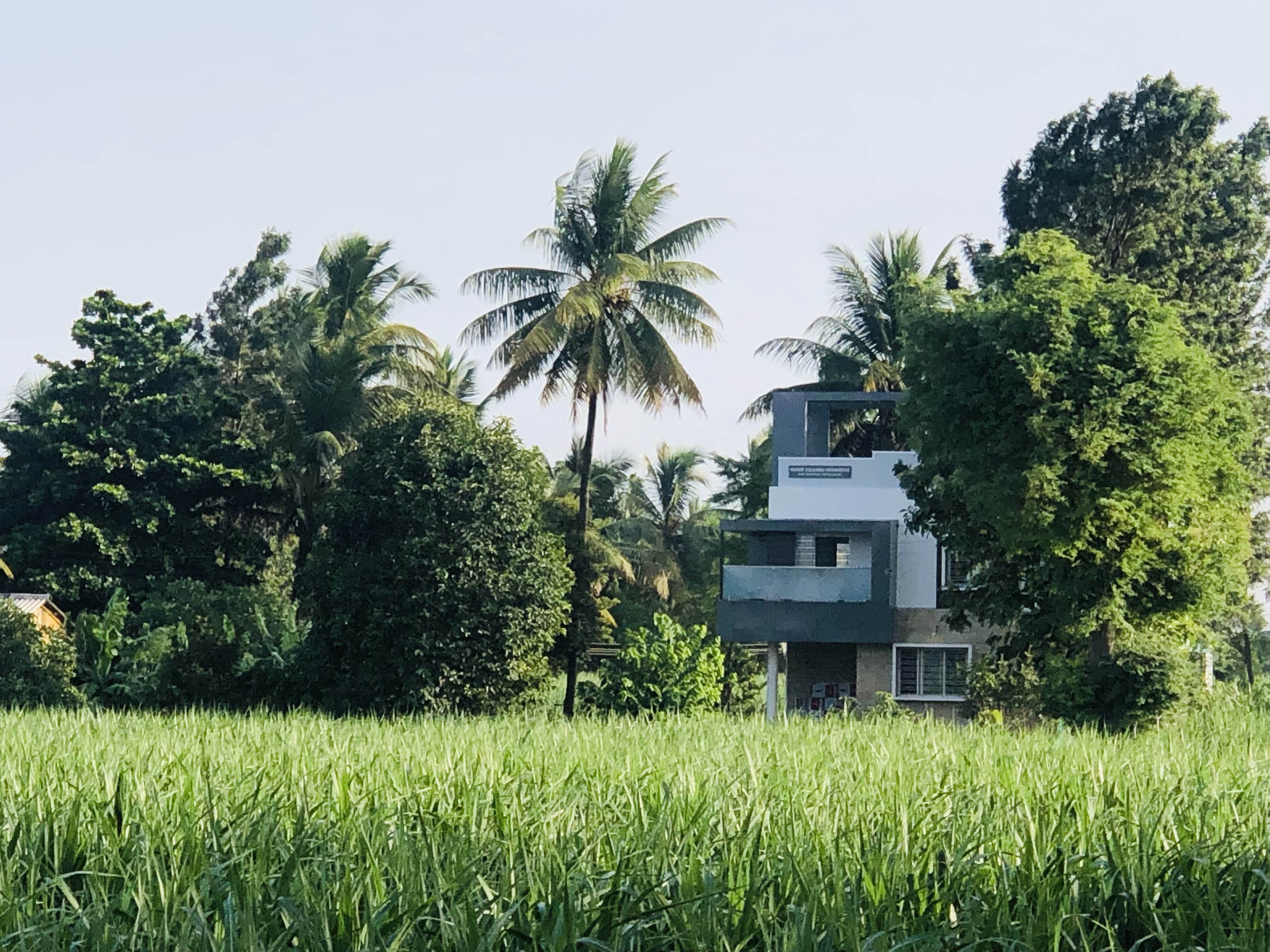 SK Farmhouse panoramic view 1